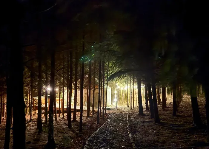 Na Mytince Hořice na Šumavě