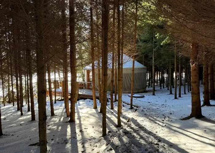 Na Mytince * Hořice na Šumavě